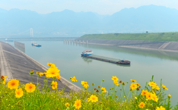 三峽水庫水位持續消落　五級船閘改為四級運行4