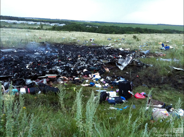 直擊馬航MH17客機墜毀現場3