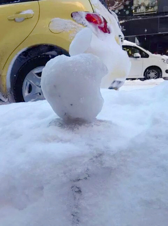 日本果粉雪天通宵排隊　警察拍肩確認死活3