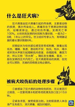 北京已報告7例狂犬病患者6人死亡