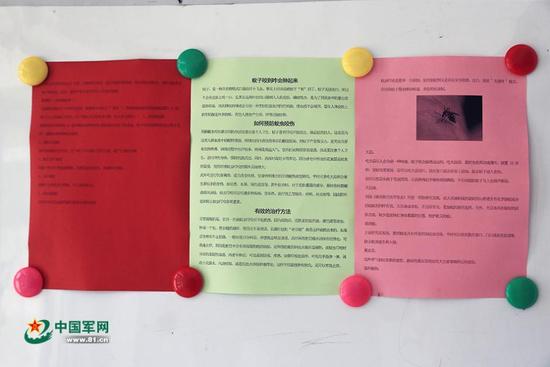 北灣邊防連營區不同于別的營區，連隊大廳內張貼的防蚊知識赫然醒目。