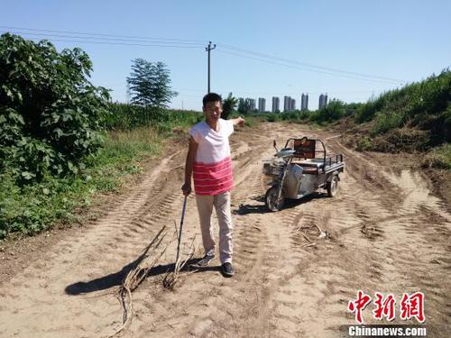 石家莊高新區百畝耕地遭強占 村民被打殘后棄荒野