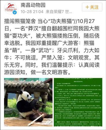 南昌動物園補充道，該男子逃離后未向園方反映情況，動物園檢查之后確認美靈沒有受傷或受到驚嚇。