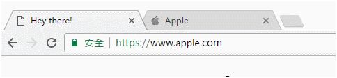 地址欄的顯示是apple.com，肉眼根本無法識別出這是假冒產品。只有將真假網址對比來看，才能發現假網址的字母(使用西里爾語里的a，比英文的a看起來略小)