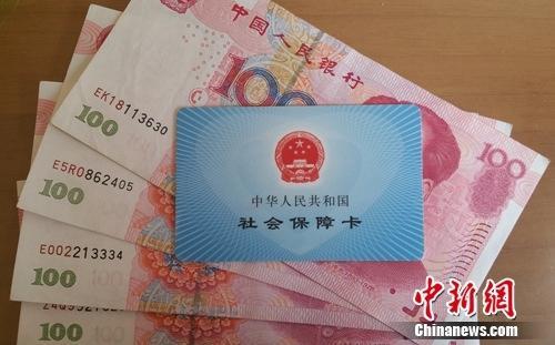 資料圖。中新網記者 李金磊 攝