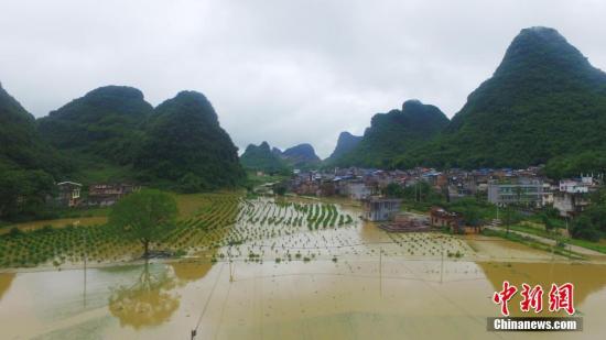 資料圖：廣西融安縣泗頂鎮儒南村拍攝被洪水淹沒的農田。譚凱興 攝