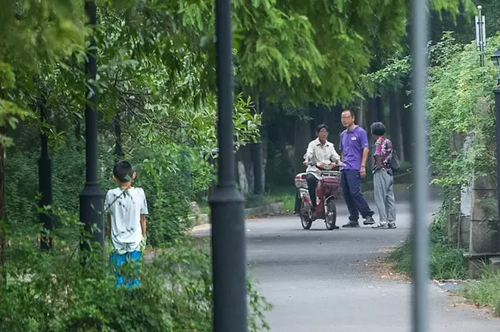 11歲搬磚男孩已退學:學校的教育不好 我自己可以學