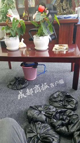 雅安老師離職后收到16660枚硬幣的押金 花4小時才數完