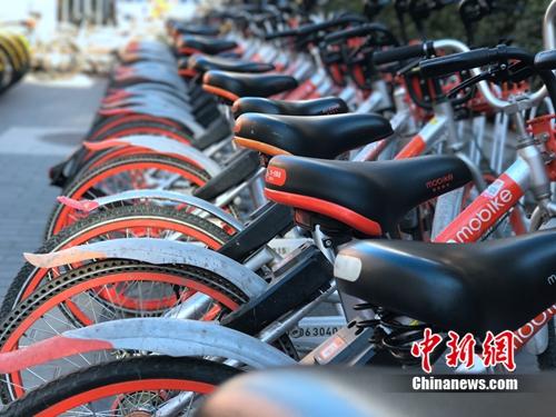 資料圖：清一色的摩拜單車。<a target='_blank' href='http://www.chinanews.com/' >中新網</a> 吳濤 攝