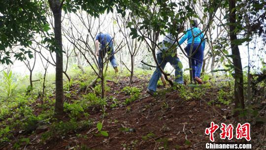 舊州古城墻遺址。　符宇群 攝