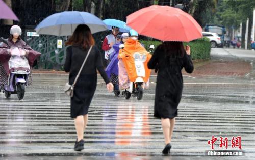 資料圖：2018年11月，福州市民在雨中出行。張斌 攝