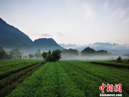 “霍童洞天”助力中國“洞天福地”申報世界文化遺產(chǎn)